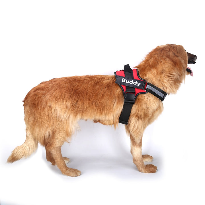 Harnais pour Chien Personnalisé Sans Tirage KAYSI™ Ultime